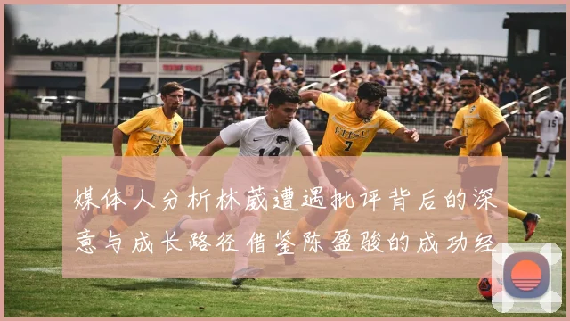 媒体人分析林葳遭遇批评背后的深意与成长路径借鉴陈盈骏的成功经验
