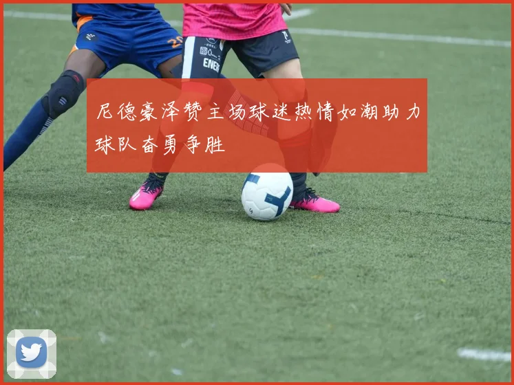 尼德豪泽赞主场球迷热情如潮助力球队奋勇争胜