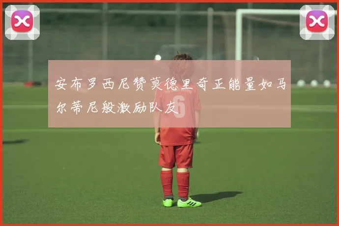 安布罗西尼赞莫德里奇正能量如马尔蒂尼般激励队友
